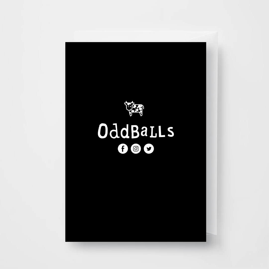 Promo ❤️ OddBalls Fat Cow - Ladies Briefs + Card Bundle Underwear & 🎂 Birthday Cards 🤩 6 OddBalls Fat Cow - Ladies Briefs + Card Bundle Underwear & Birthday Cards