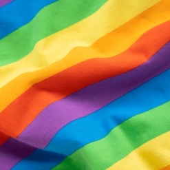 OddBalls Rainbow - Ladies Briefs