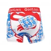 OddBalls Boys Boxer Shorts (Kids) England FA - Three Lions - Kids Boxer Shorts - Goolies