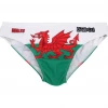 Best Pirce 🌟 OddBalls Wales - Swimmers Sportswear 🔥 2 OddBalls Wales - Swimmers Sportswear